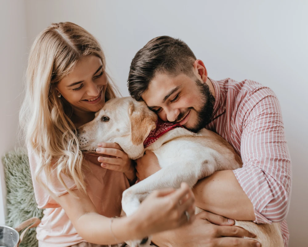 best automatic pet feeder